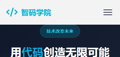 智码学院 - IT技术培训平台